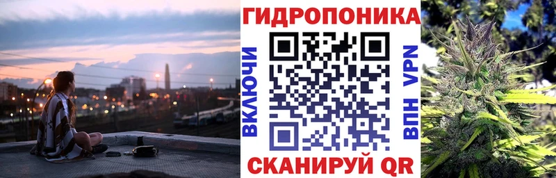 Шишки марихуана план  Соль-Илецк 